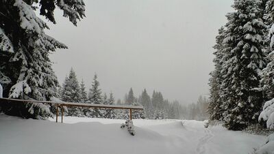 Polana pod Zbyrcokiem z widokiem na... Tatry :)