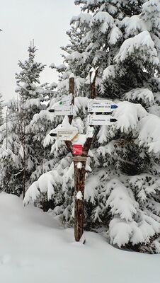 Rozejście szlaków między Zbyrcokiem a Bukowiną Obidowską