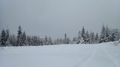 Widok z Bukowiny Obidowskiej na... Tatry :)