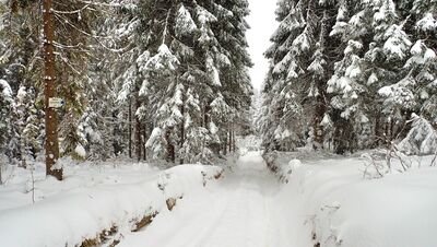 Rozejście szlaków nad Łapsową Polaną