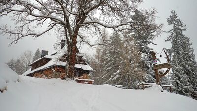 Koliba na Łapsowej Polanie