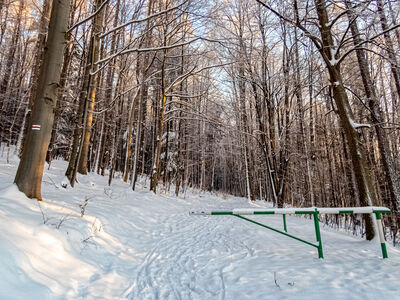 Granica Parku Krajobrazowego Beskidu Śląskiego