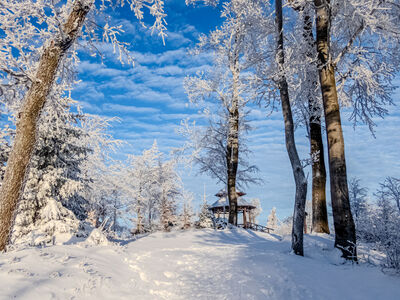 Kozia Góra 683 m n.p.m.