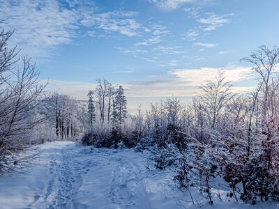 Żółty szlak przed Kołowrotem
