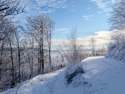 Obejście pod Kołowrotem