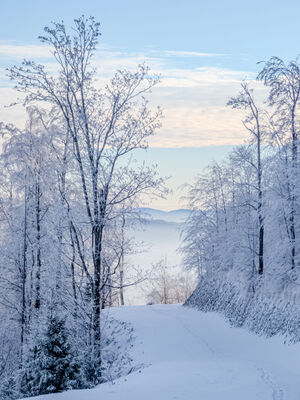 Obejście pod Kołowrotem