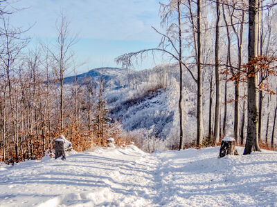 Żółty szlak na Szyndzielnię