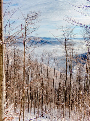 Żółty szlak na Szyndzielnię z widokiem na Bystrą i Wilkowice