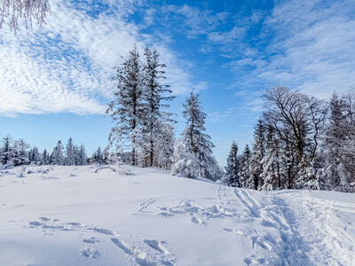 Szyndzielnia 1026 m n.p.m.