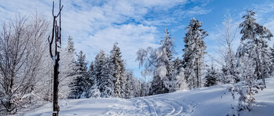 Nad Szyndzielnią ↔ Schronisko PTTK Szyndzielnia [Szyndzielnia 1026 m n.p.m.]