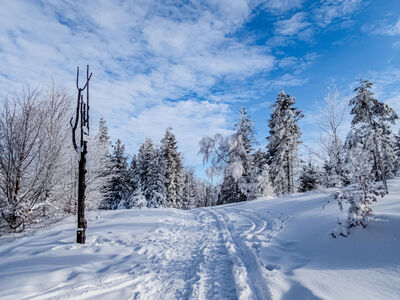 Szyndzielnia 1026 m n.p.m.