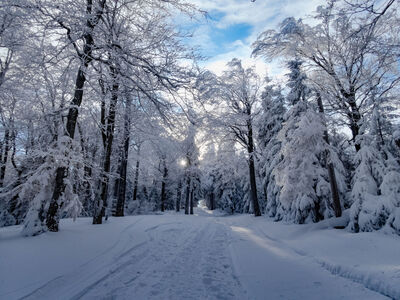 Żółty szlak pod Klimczokiem