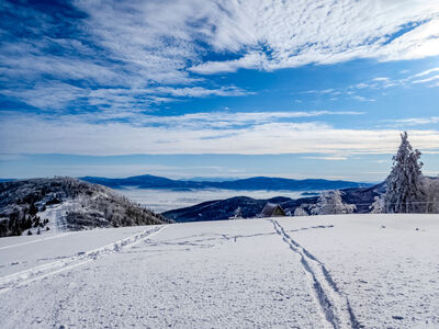 Klimczok 1117 m n.p.m.