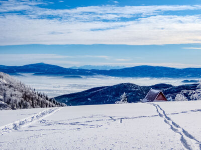 Widok na Babią i Tatry z Klimczoka
