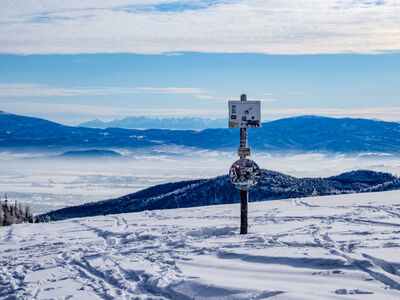 Klimczok 1117 m n.p.m.