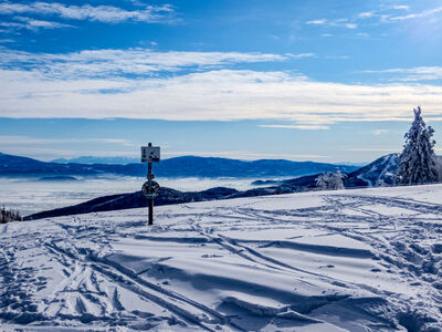 Klimczok 1117 m n.p.m.