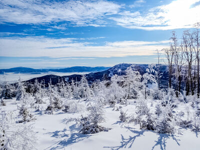 Widok z ruin schroniska na Trzech Kopcach w kierunku Szkrzycznego