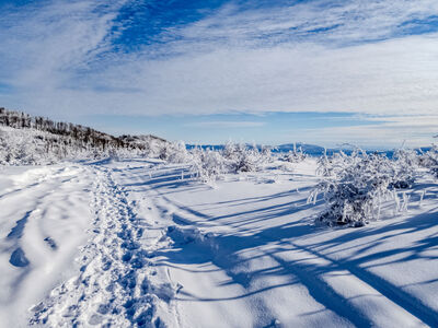 Trzy Kopce 1082 m n.p.m.