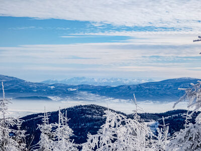 Panorama Tatr z żółtego szlaku pod Trzema Kopcami