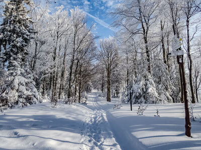 Rozejście szlaków Trzy Kopce pod Klimczokiem