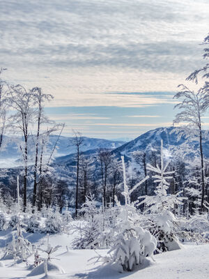 Widok z żółtego szlaku pod Klimczokiem