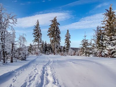 Czerwono-żółty szlak między Klimczokiem a Magurą