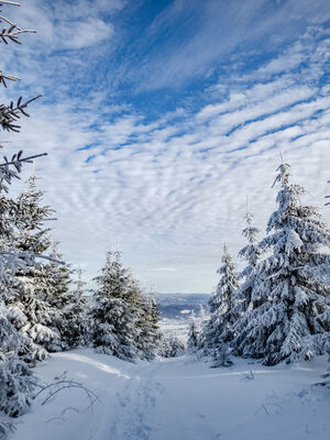 Czerwono-żółty szlak na Magurę