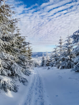 Czerwono-żółty szlak na Magurę
