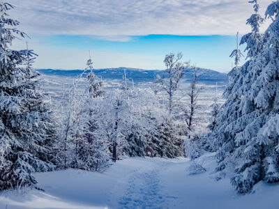Czerwono-żółty szlak na Magurę