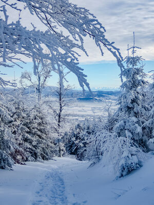 Czerwono-żółty szlak na Magurę