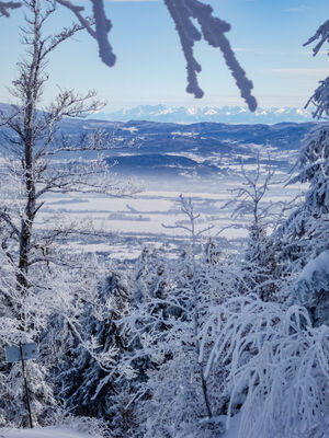 Tatry z czerwono-żółtego szlaku na Magurę