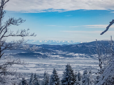 Tatry z czerwono-żółtego szlaku na Magurę