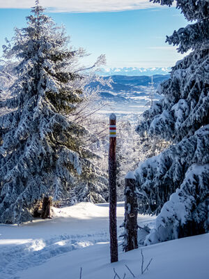 Tatry z czerwono-żółtego szlaku na Magurę