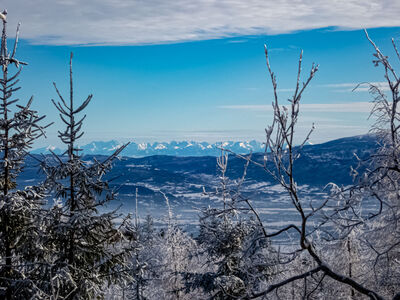 Tatry z czerwono-żółtego szlaku na Magurę