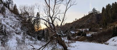 Rezerwat Biała Woda ↔ Rezerwat Biała Woda, Zapustek [Beskid Sądecki - rezerwat Biała Woda]