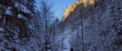 Rezerwat Wąwóz Homole ↔ Jameriska [Pieniny - Wąwóz Homole]