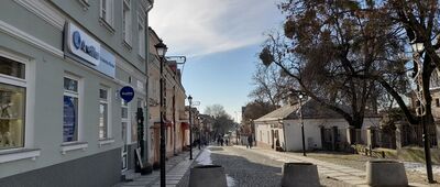 Chełm [Ul. Lwowska z zielonym szlakiem]