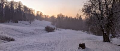 Rezerwat Biała Woda, Zapustek [Pieniny - rezerwat Biała Woda]