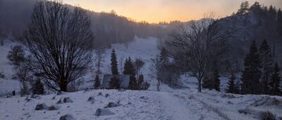 Rezerwat Biała Woda, Zapustek ↔ Przełęcz Rozdziela [Pieniny - rezerwat Biała Woda]