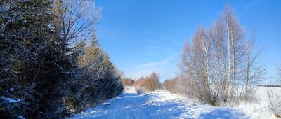 Lutowiska, cerkwisko ↔ Wiata Wędrowca