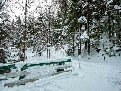 Mostek nad Żabniczanką