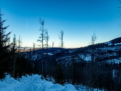 Skrót zielonego szlaku