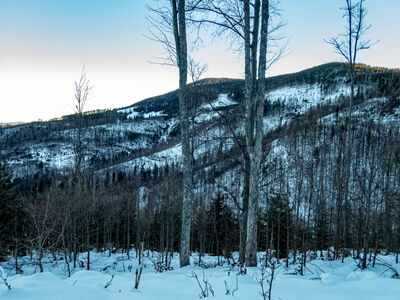 Skrót zielonego szlaku