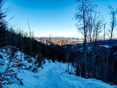 Skrót zielonego szlaku z widokiem na Skrzyczne