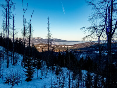 Skrót zielonego szlaku z widokiem na Skrzyczne