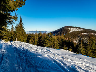 Romanka z zielono-żółtego szlaku pod Rysianką