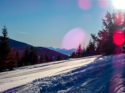 Tatry z zielono-żółtego szlaku pod Rysianką
