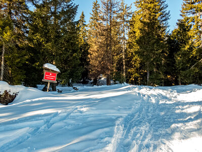 Rezerwat Lipowska na kopule szczytowej Rysianka