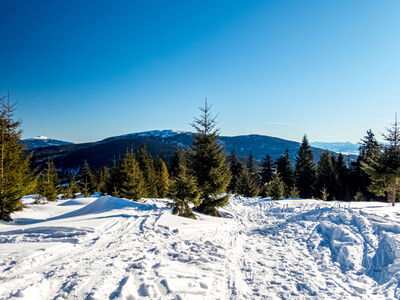 Od lewej: Babia Góra, Pilsko, Mechy i dalej Tatry