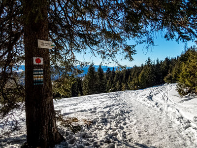 Szlak pod Rysianką w kierunku Hali Lipowskiej